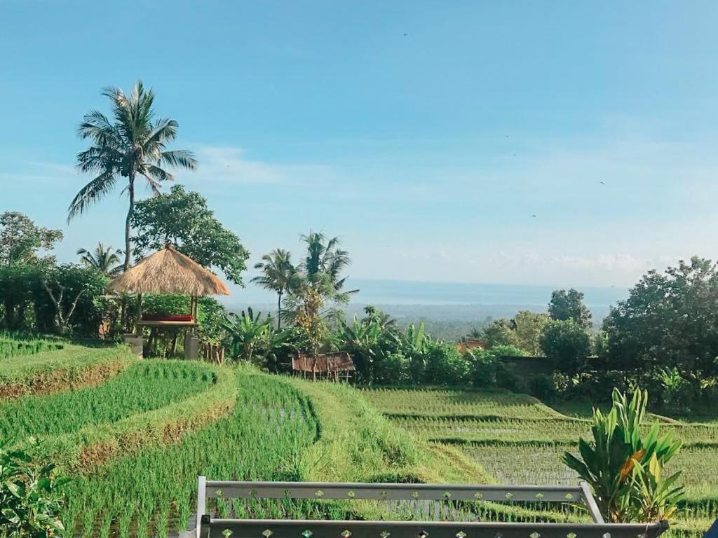 Pondok Apsari 2 Singaraja Exterior foto